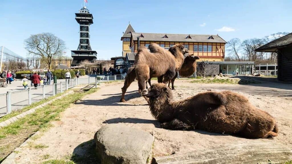 Denmark tourist sites, Copenhagen Zoo