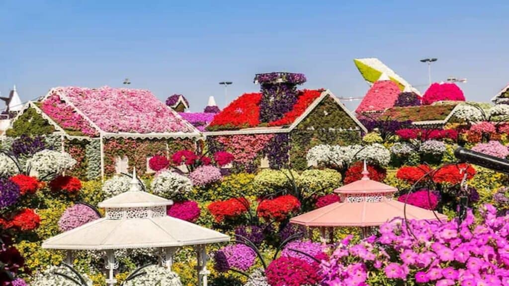 Places worth visiting in Dubai, Dubai Miracle Garden