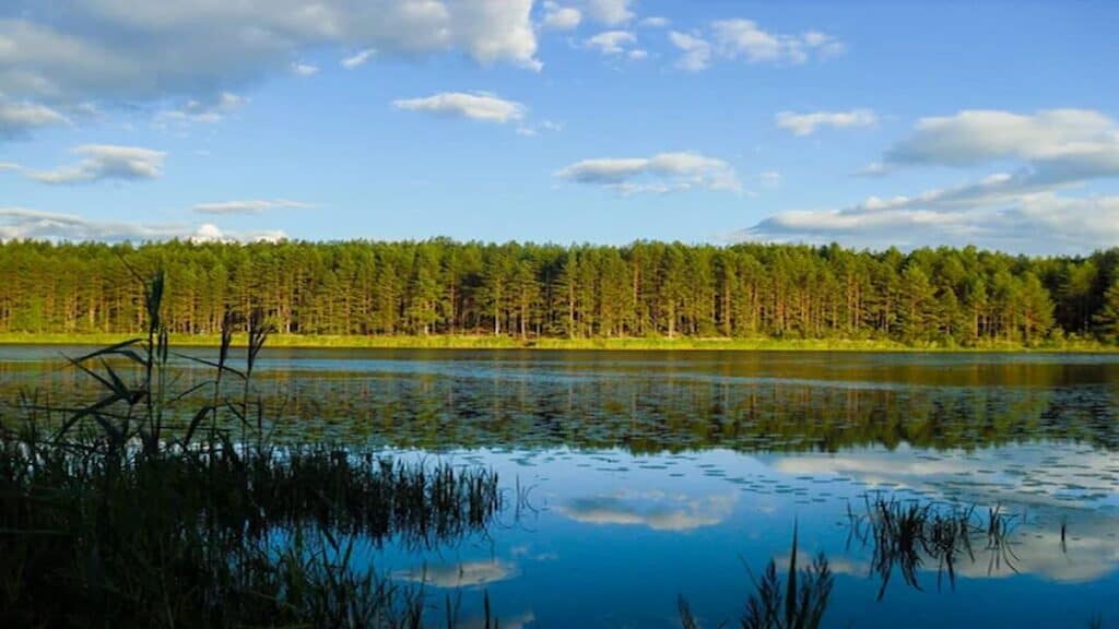 Places for sightseeing in Finland, Nuuksio National Park