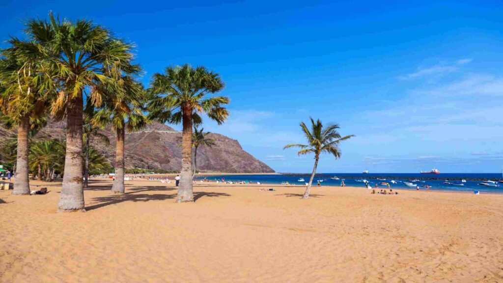 Places of interest in Tenerife, palm trees on beach