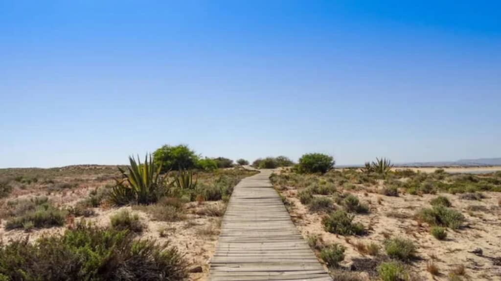 Tourist spots in Portugal, Ria Formosa Natural Park