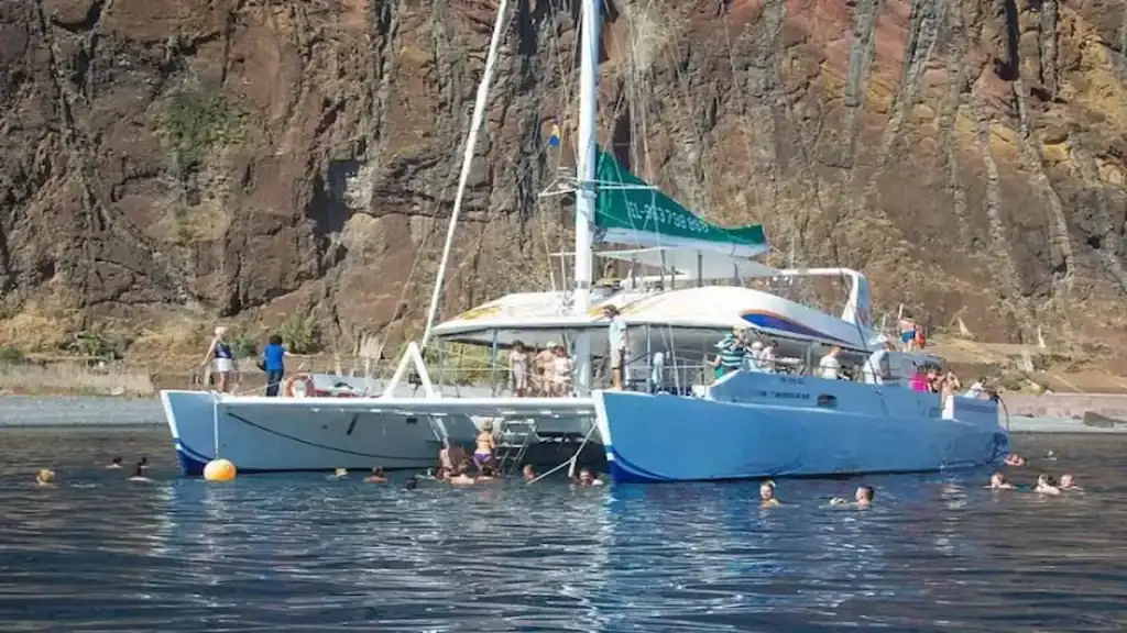 Whale watching in Madeira Funchal, catamaran