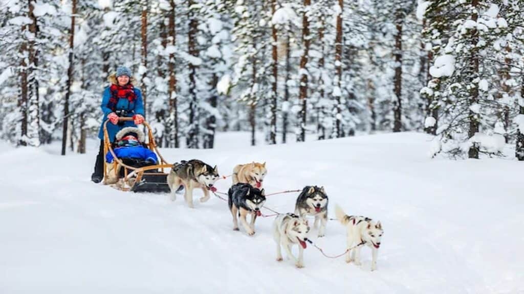 Finland places of interest, husky safari
