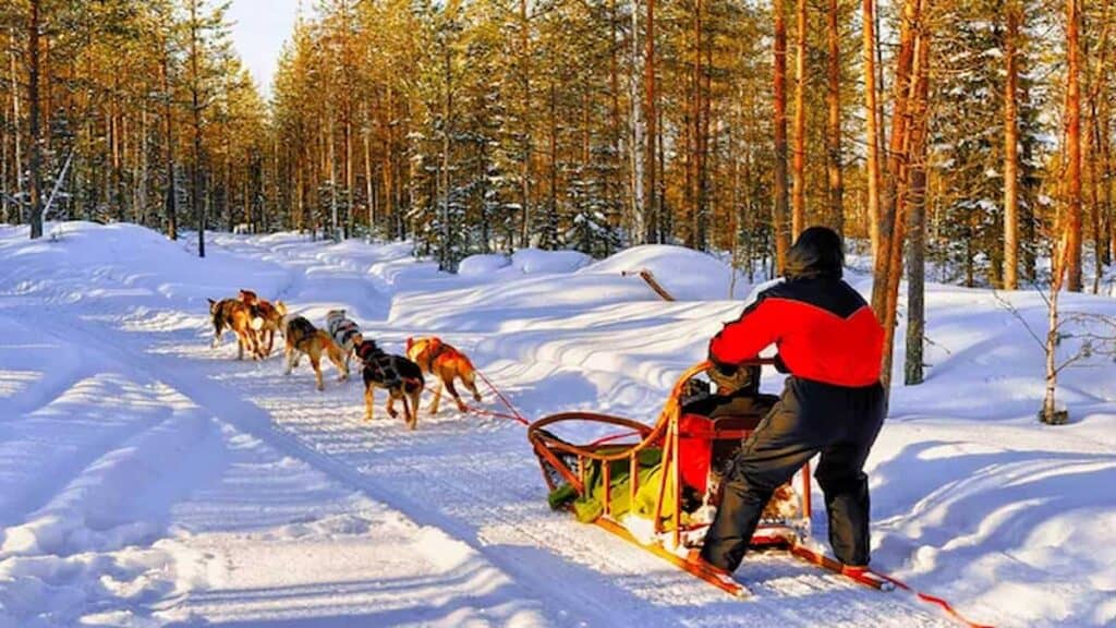 Finland places of interest, husky sledge