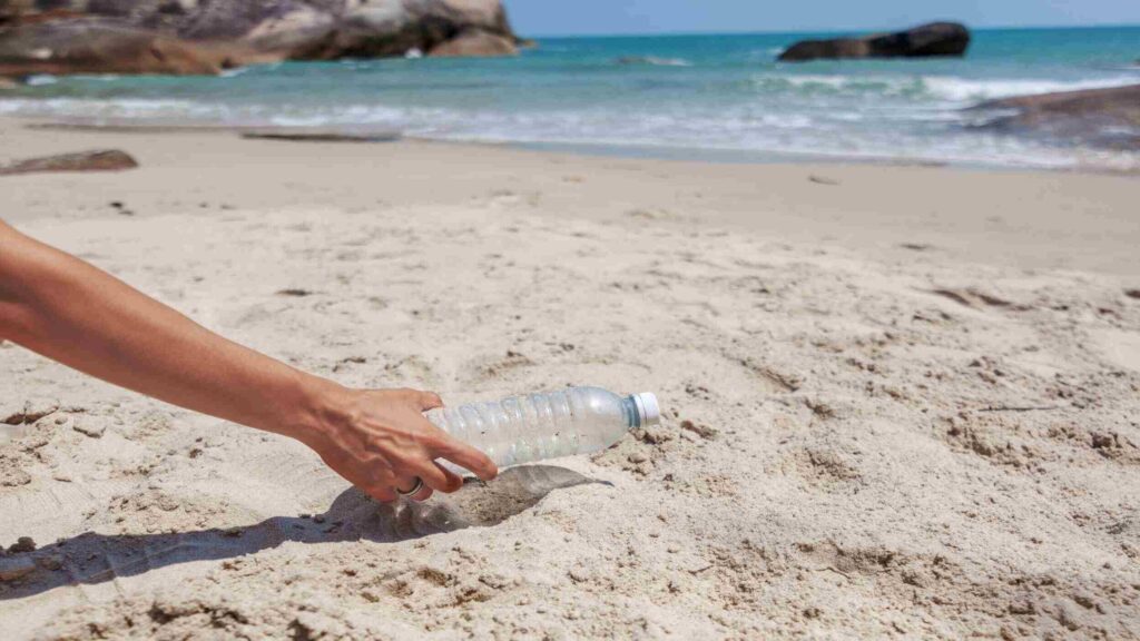 Beach clean ups, plastic bottles
