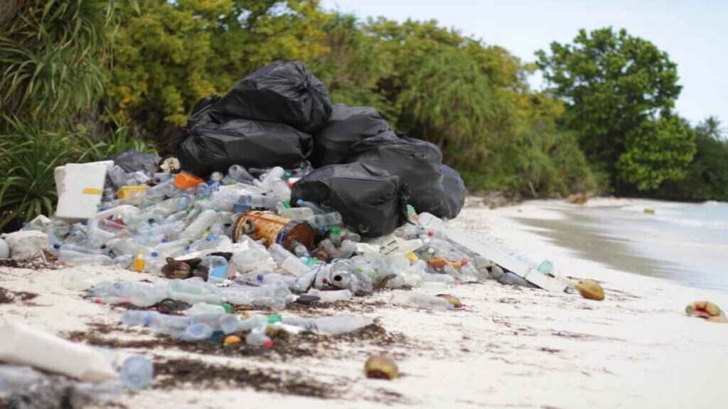 Beach clean ups, litter piled up