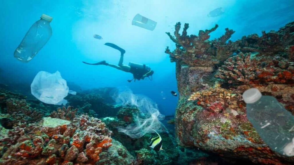 Beach clean ups, Scuba diver cleaning up plastic rubbish floating in the ocean.