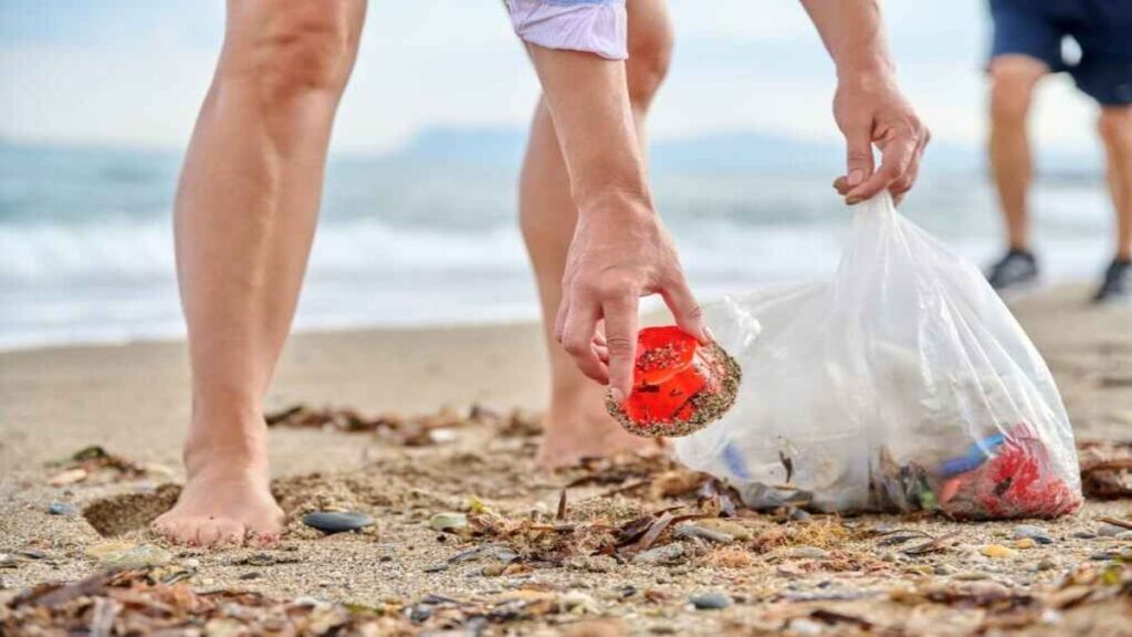 Beach clean ups, volunteer picking up beach litter.