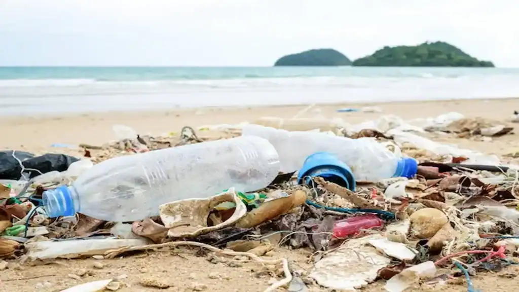 Beach clean ups, beach pollution plastic bottles