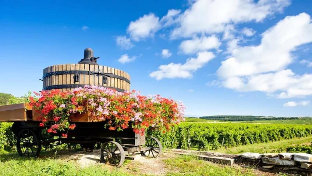 Prettiest places in France, Burgundy wine region.