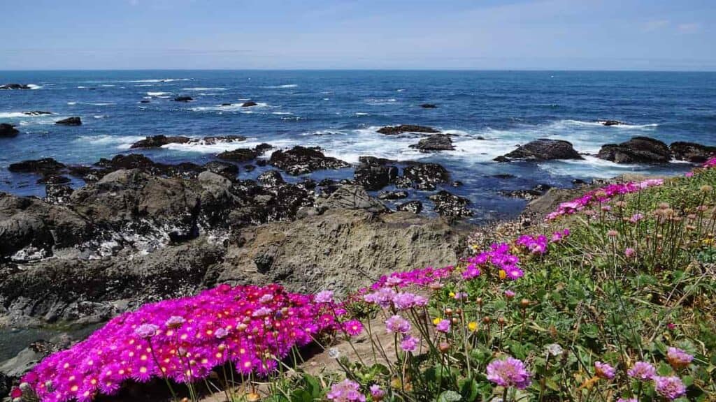 Mendocino California attractions, Mendocino Coast Botanical Gardens