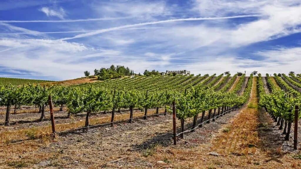 Weekend getaways from Los Angeles, Paso Robles wineries