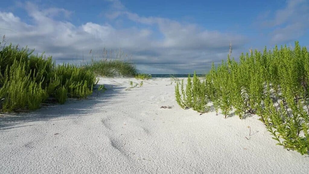 Activities in Pensacola Florida, Gulf Islands National Seashore