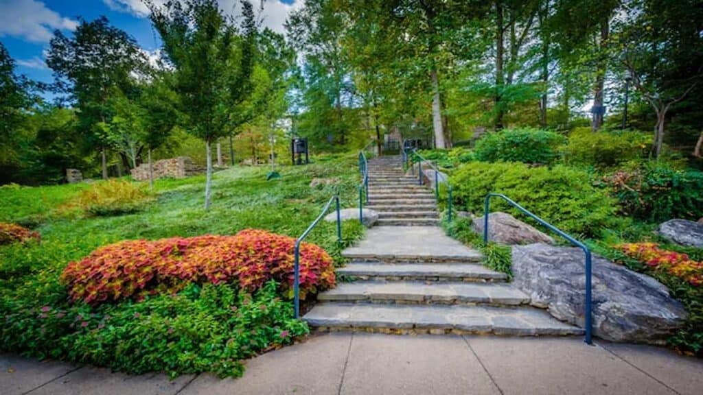 Tourist Attractions in Ontario Toronto, High Park