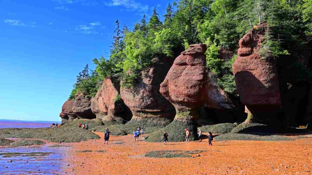 Hopewell rocks