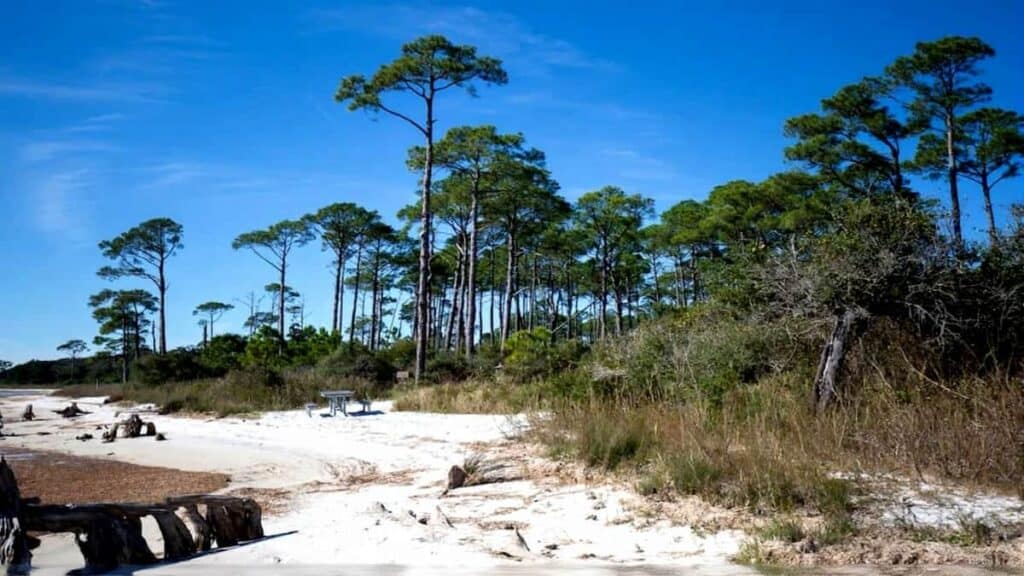 Activities in Pensacola Florida, Naval Live Oaks