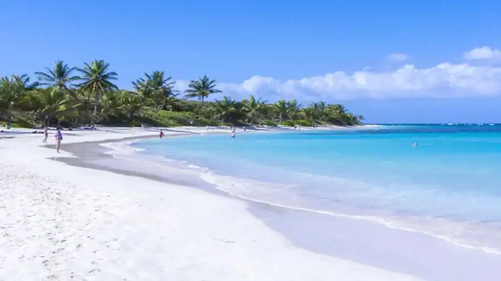 Things to do in Puerto Rico, Flamenco beach