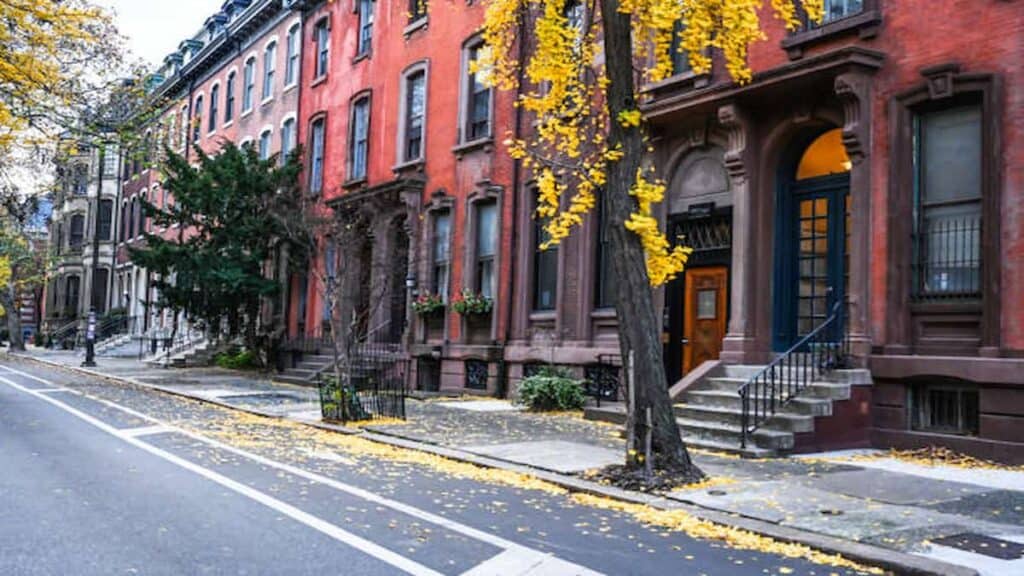 Cool things to do in Brooklyn, Fort Greene