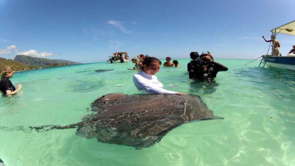 Best Maldives Resorts, manta rays