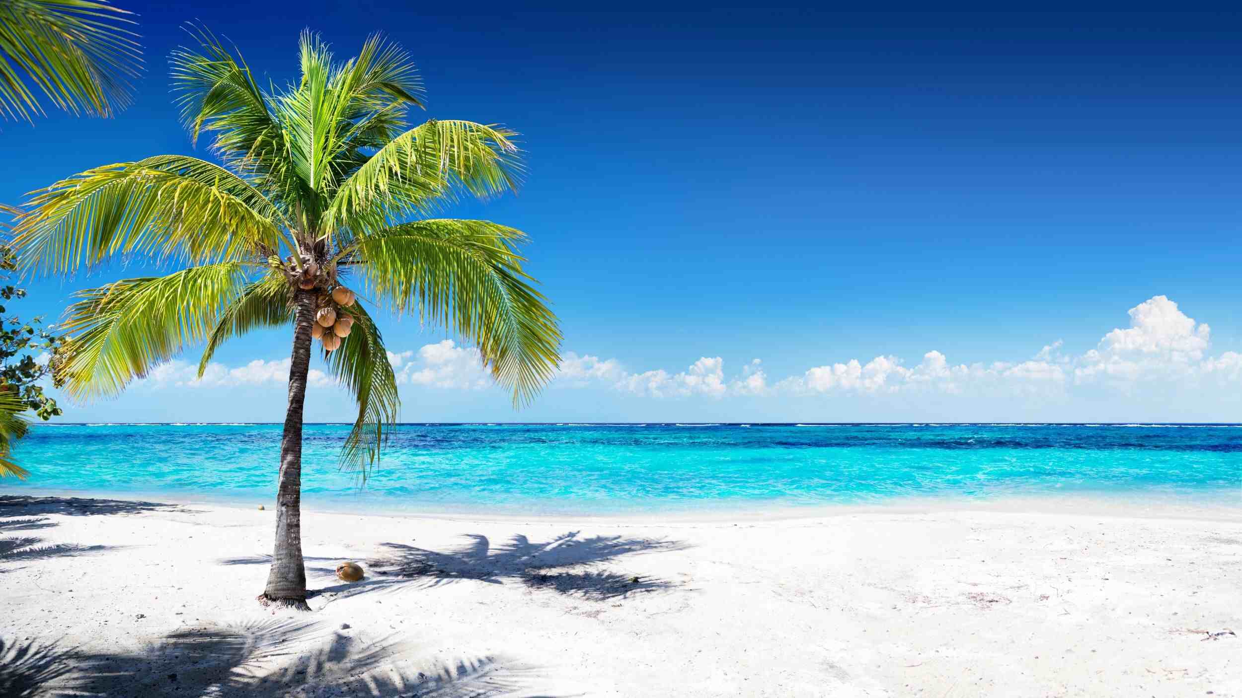 things to do in Puerto Rico, Costa Rica main beach