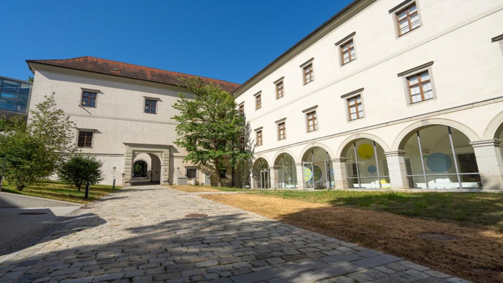 linz castle