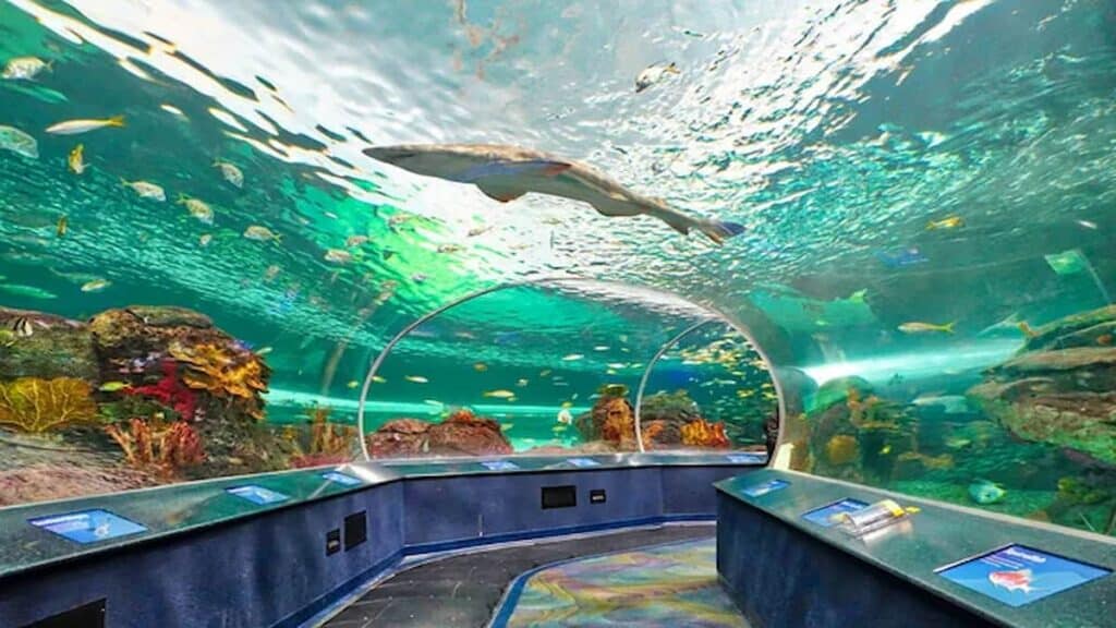 Sightseeing places in Toronto, Ripley's Aquarium of Canada
