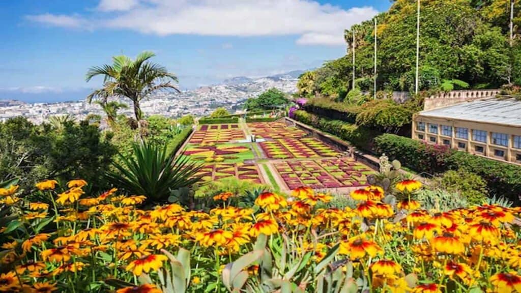 Things to visit in Madeira, Madeira Botanical Garden