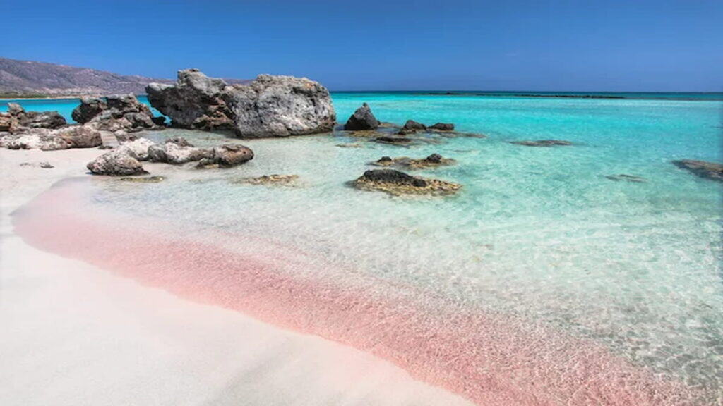 Best place to visit in Crete, Elafonisi pink beach