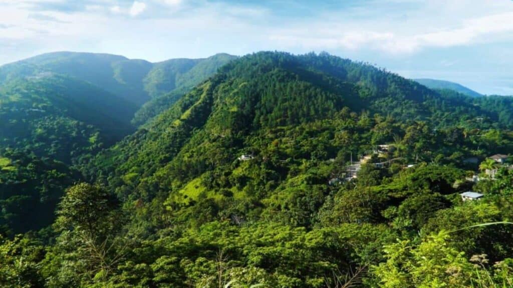 Landmarks in Jamaica, John Crow Mountains National Park