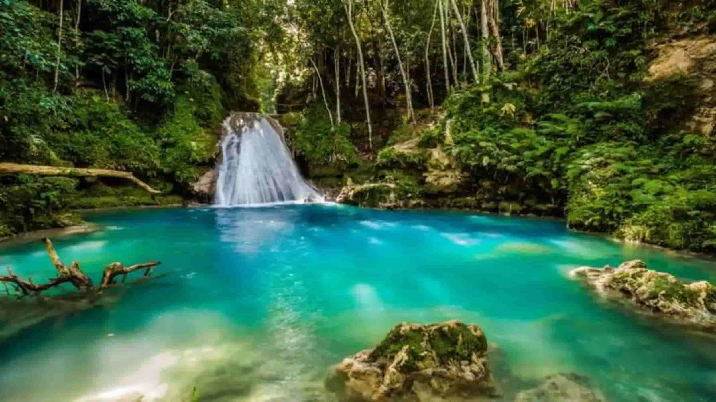 Landmarks in Jamaica, Waterfall