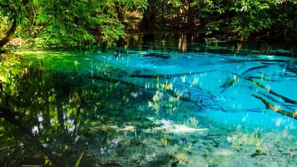 Landmarks in Jamaica, Luminous Lagoon