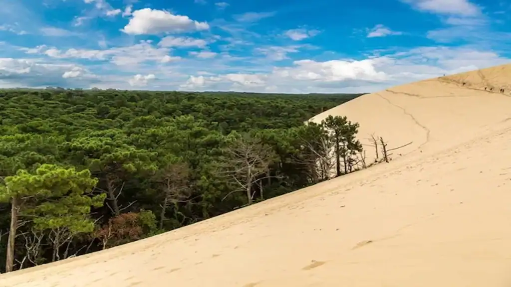 Visiting Bordeaux France, Arcachon Bay Dune