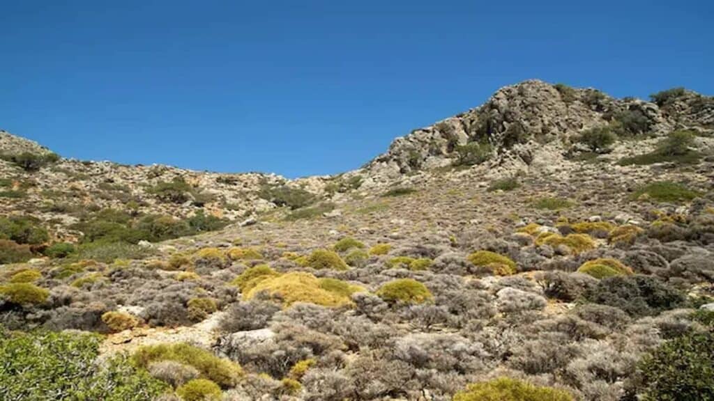 Deià Mallorca, Coll de Sóller