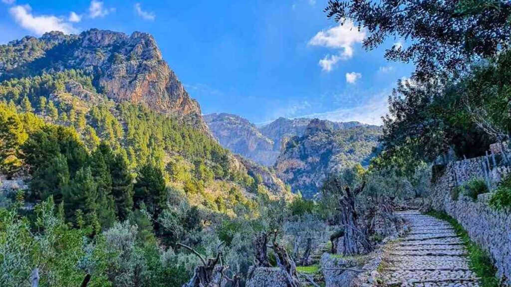 Fornalutx Mallorca, Barranc de Biniaraix