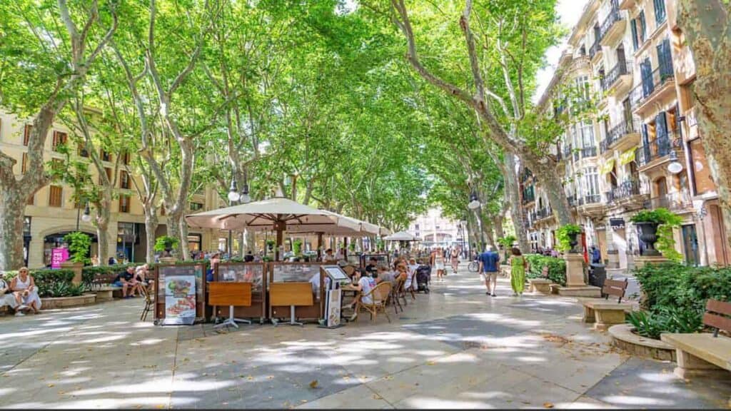 Best areas to stay in Mallorca, Palma