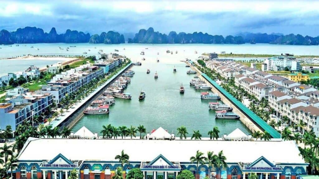 Junk boats in Halong Bay, Tuan Chau Marina