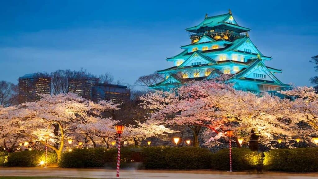 Best cities in Japan, cherry blossom