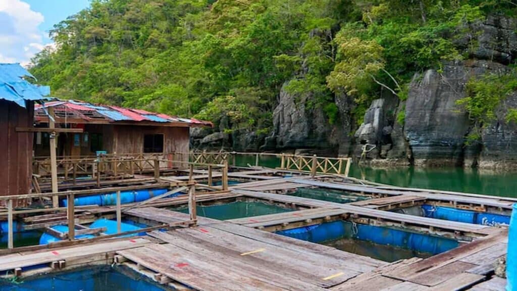 Kilim Geoforest Park, floating-fish-farm-island-langkawi
