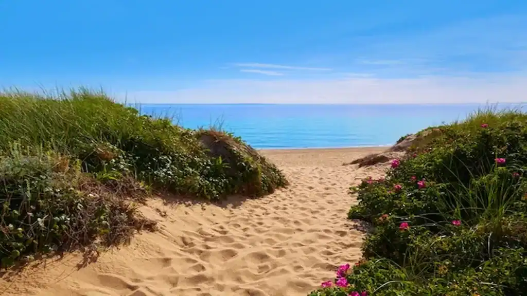 Vacation spots in Massachusetts, Cape Cod beach