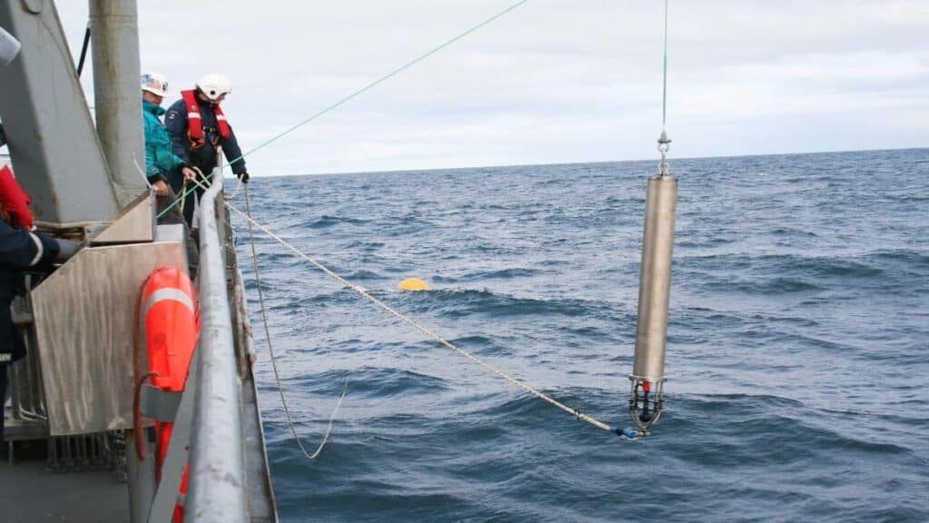 Best Whale Watching Locations, Hydrophone