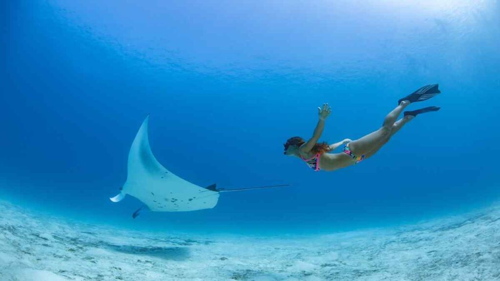 Maldives 5 day itinerary, swimming