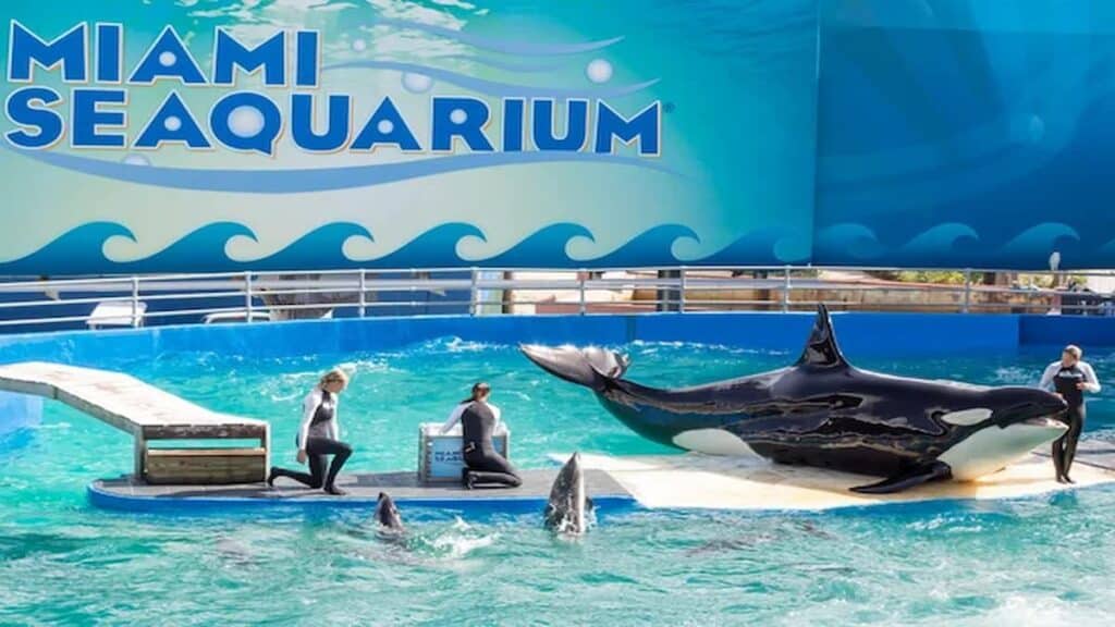 Miami attractions for adults, MIAMI SEAQUARIUM