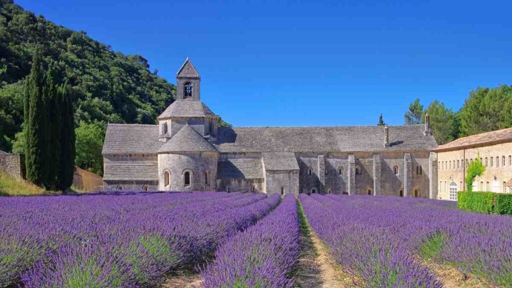 Prettiest places in France, Sénanque Abbey