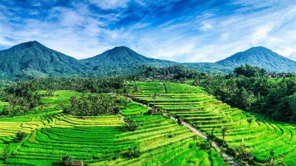 Must-see places in Bali Indonesia, Tabanan