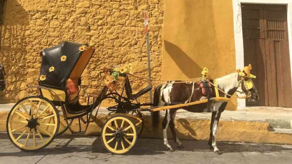 Yucatan Peninsula Merida, horse and carriage