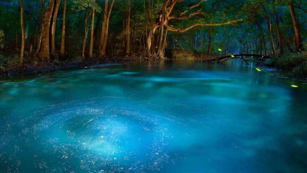 Popular Vacation Spots in Florida Springs State Park