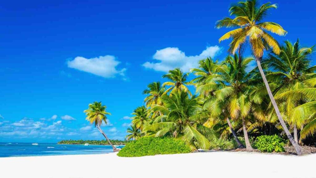 Things to do in Puerto Rico, Culebra beach
