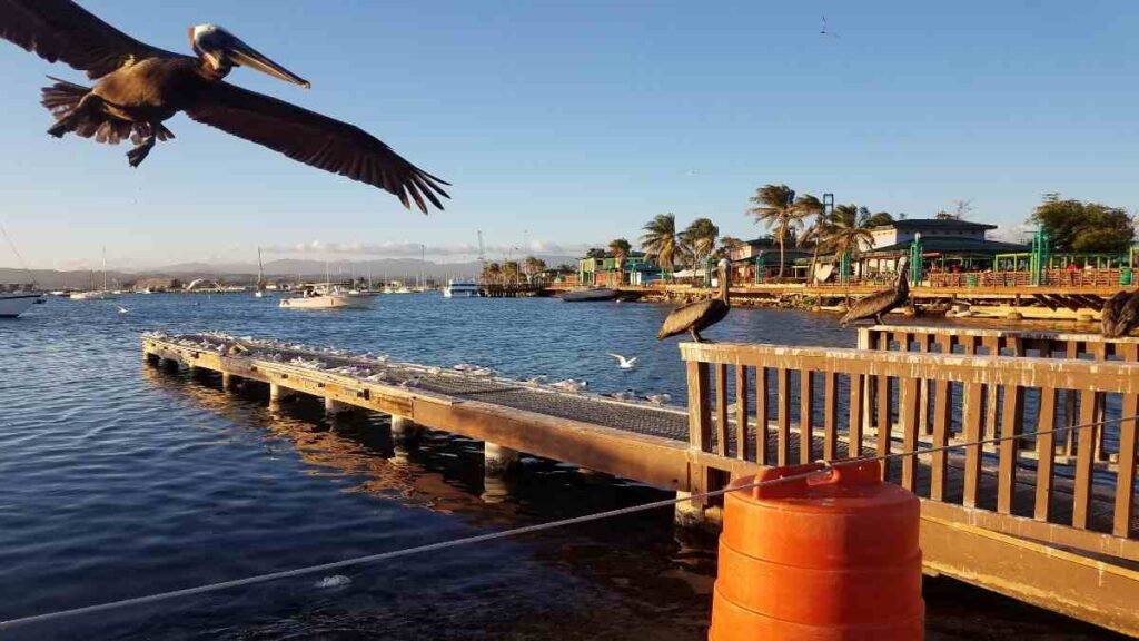 things-to-do-in-Puerto-Rico-Ponce