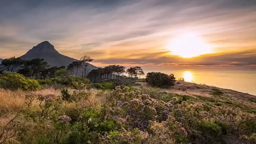 Lions Head South Africa, sunset hike