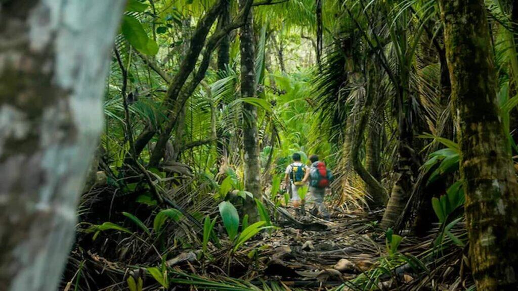 Poisonous snakes in Costa Rica, Corcovado National Park